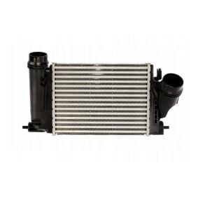 Megane 4-IV Kadjar Turbo Radyatörü (Intercooler) (2013-2024) 144614EA0A -Kale