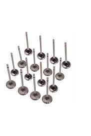 Megane 1-I 2-II 3-III Fluence Scenic 1-I 2-II Motor Subap Takımı 1.4-1.6 16V K4M-K4J - Güneş