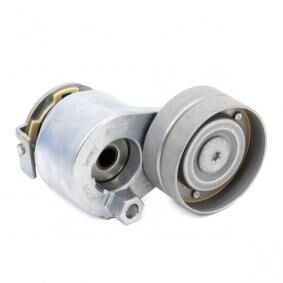 Megane 2-II Alternatör Gergi Rulmanı Komple 1.9 Dci F9Q (2003-2010) 8200905328 -Renault Mais