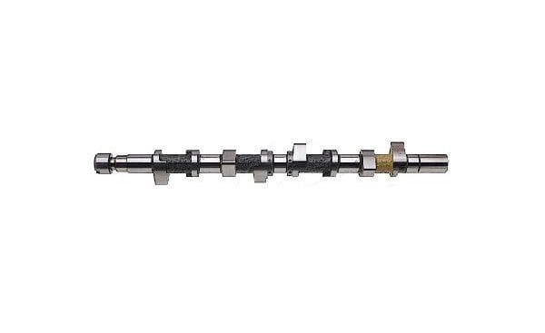 R19 Dizel F8Q Eksantirik Mili 7700101020 -Estaş