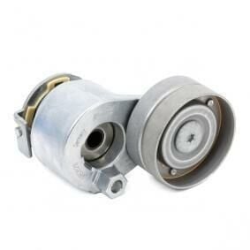 Megane 2-II Alternatör Gergi Rulmanı Komple 1.9 Dci F9Q (2003-2010) 8200905328 -Ina